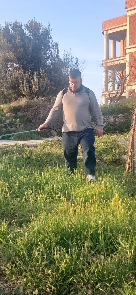 gömeç odun kesim ağaç işleri bahçe düzenlemesi bahçıvan nakliye rulo çim çapa budama1