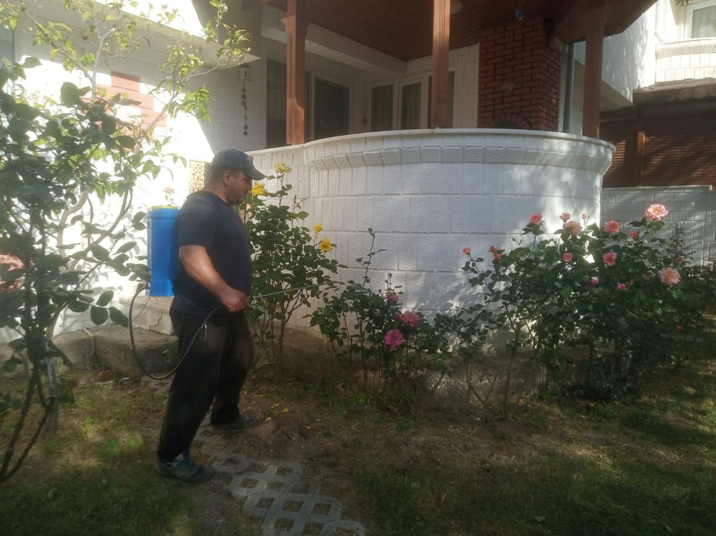 gömeç odun kesim ağaç işleri bahçe düzenlemesi bahçıvan nakliye rulo çim çapa budama15