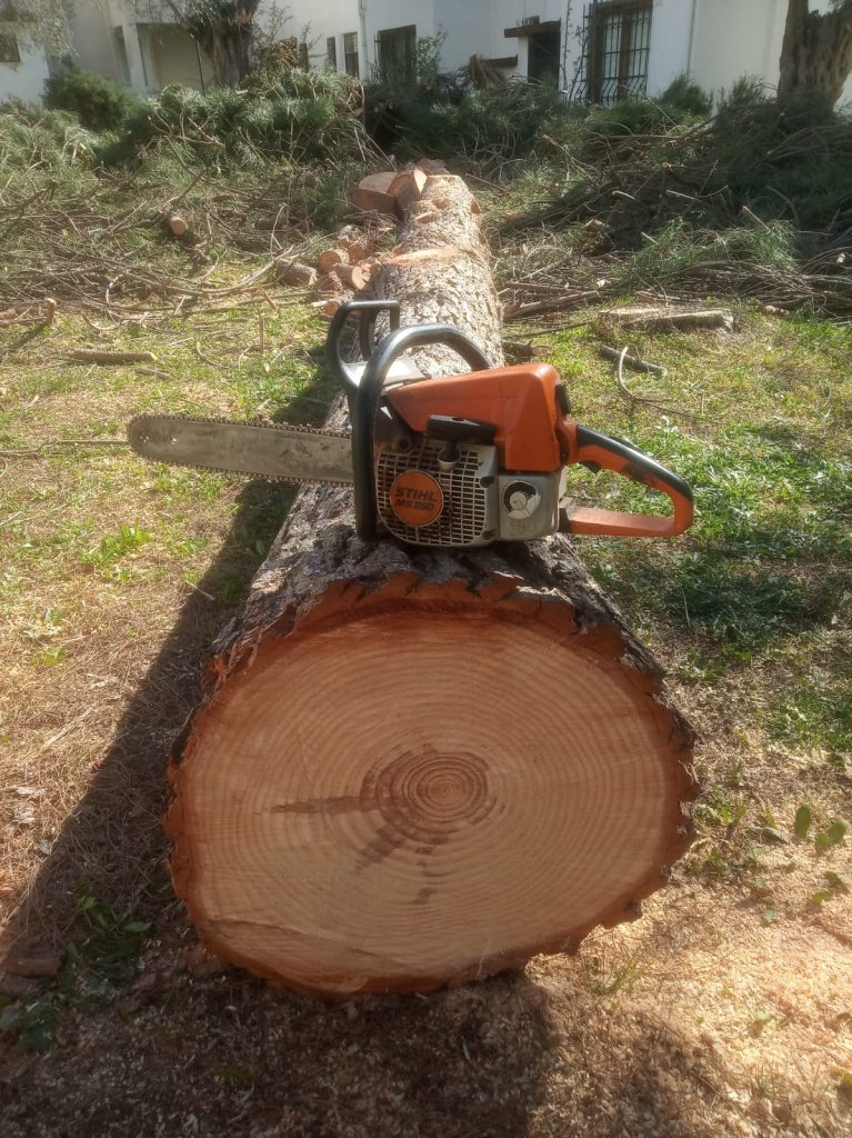 gömeç odun kesim ağaç işleri bahçe düzenlemesi bahçıvan nakliye rulo çim çapa budama20