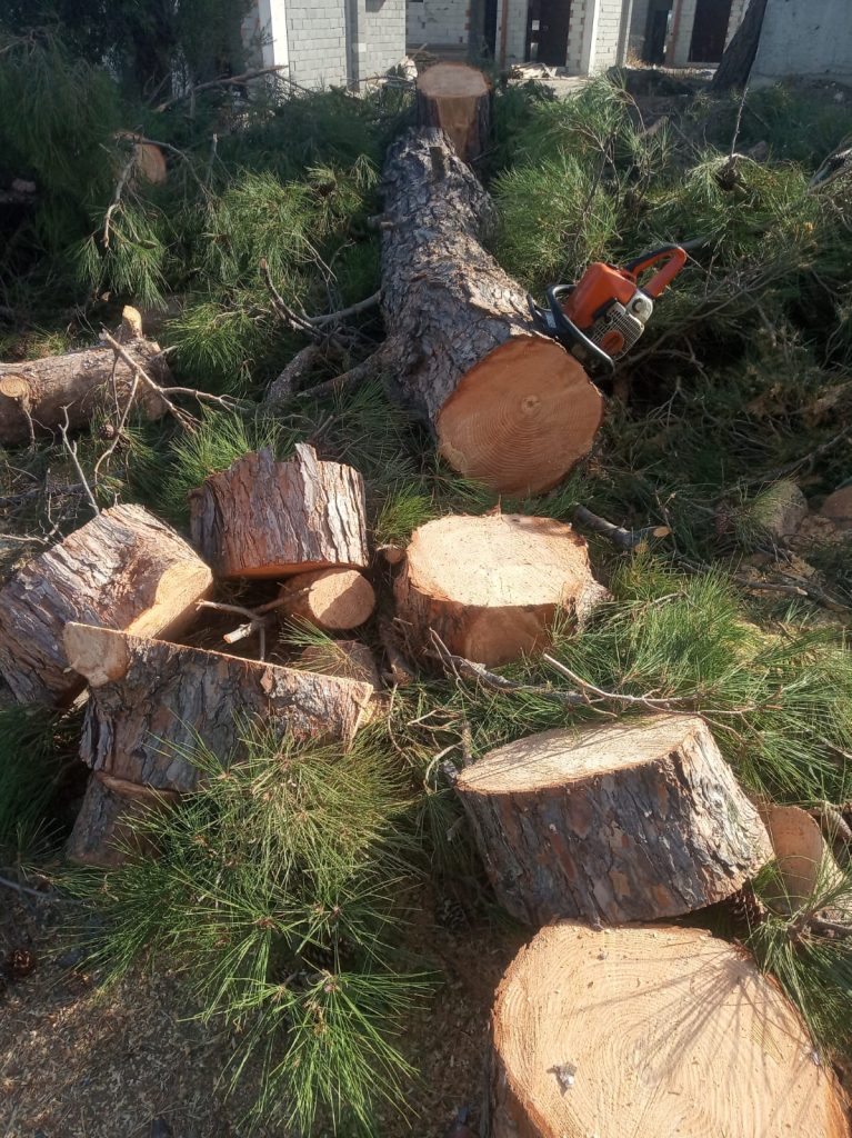 gömeç odun kesim ağaç işleri bahçe düzenlemesi bahçıvan nakliye rulo çim çapa budama21