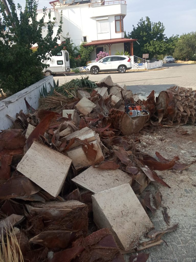 gömeç odun kesim ağaç işleri bahçe düzenlemesi bahçıvan nakliye rulo çim çapa budama26