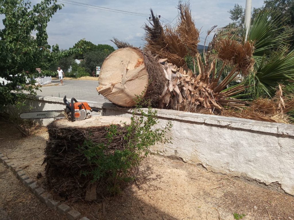 gömeç odun kesim ağaç işleri bahçe düzenlemesi bahçıvan nakliye rulo çim çapa budama27