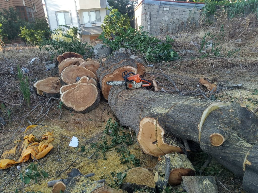 gömeç odun kesim ağaç işleri bahçe düzenlemesi bahçıvan nakliye rulo çim çapa budama29
