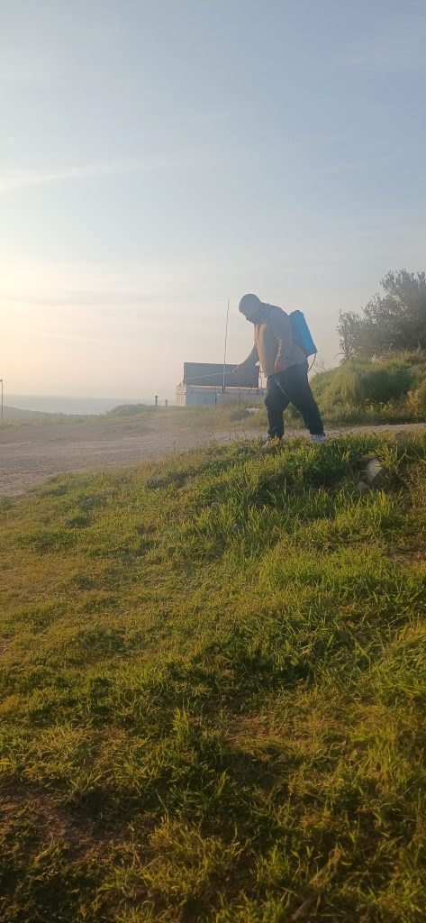 gömeç odun kesim ağaç işleri bahçe düzenlemesi bahçıvan nakliye rulo çim çapa budama3
