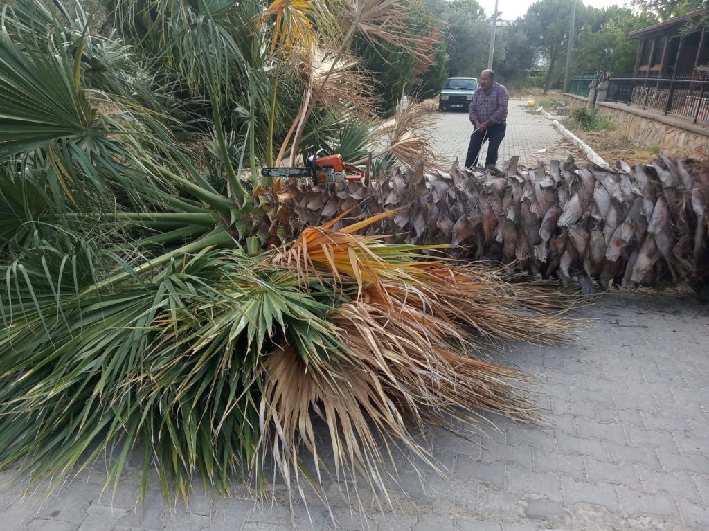 gömeç odun kesim ağaç işleri bahçe düzenlemesi bahçıvan nakliye rulo çim çapa budama31