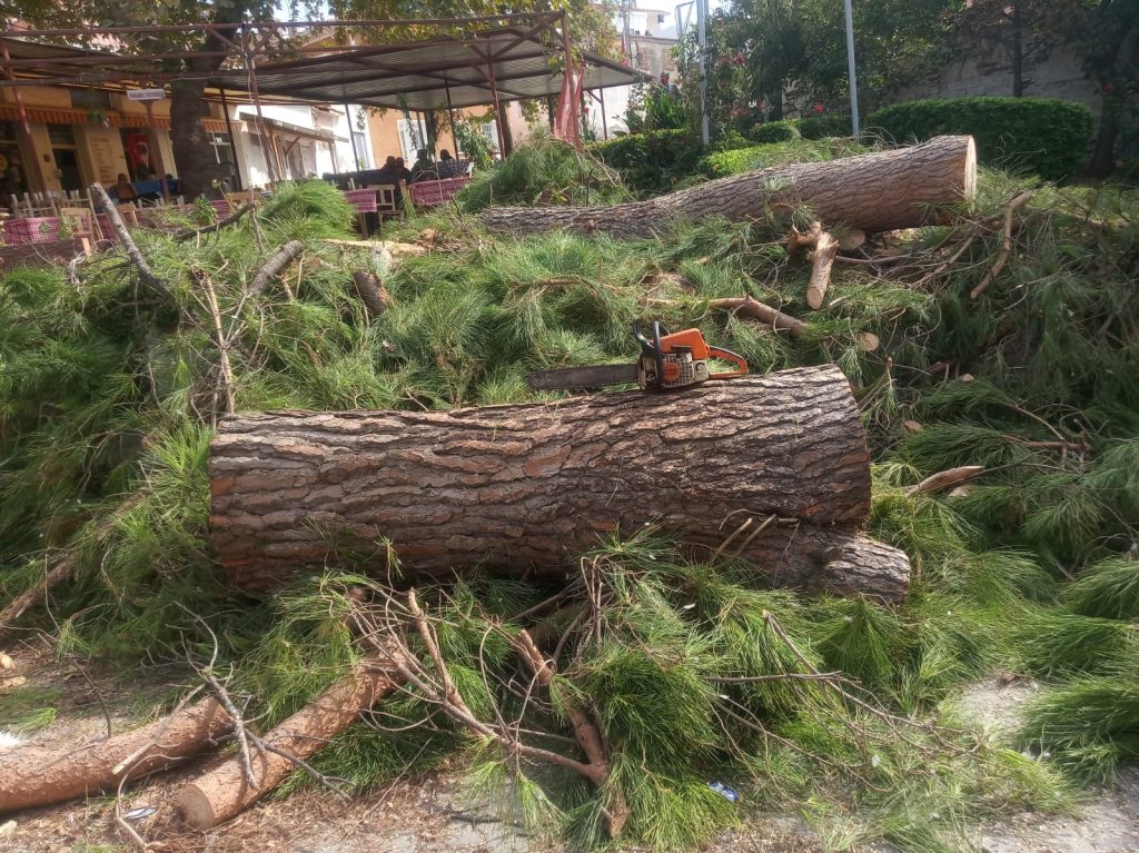 gömeç odun kesim ağaç işleri bahçe düzenlemesi bahçıvan nakliye rulo çim çapa budama35