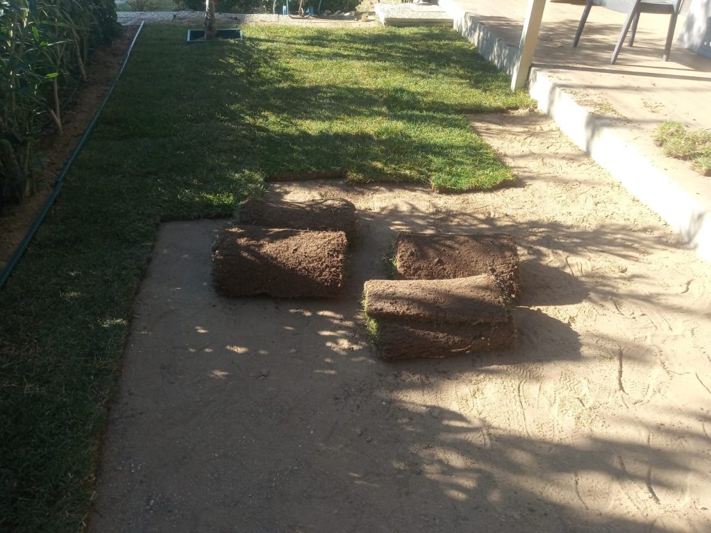 gömeç odun kesim ağaç işleri bahçe düzenlemesi bahçıvan nakliye rulo çim çapa budama36