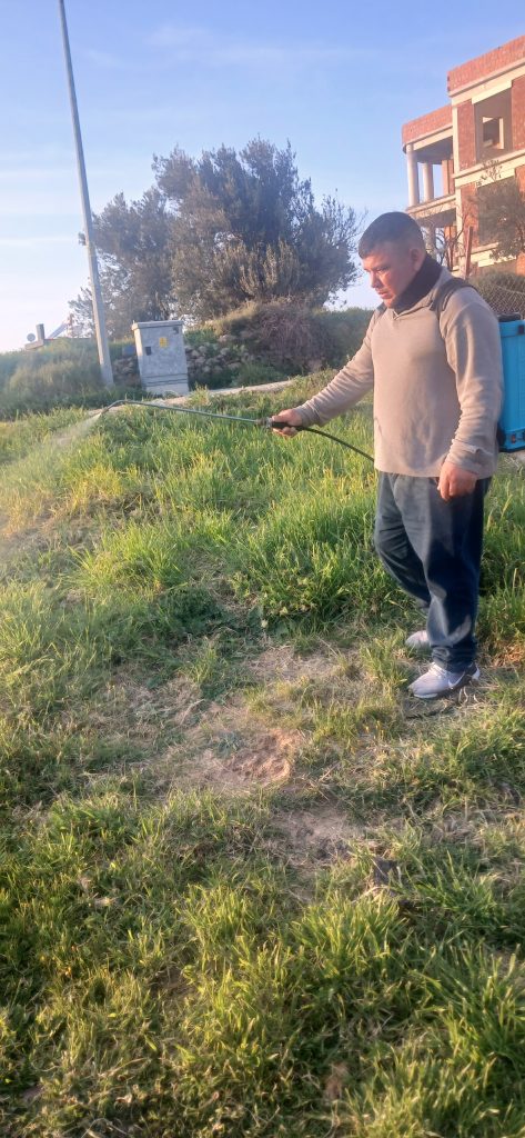 gömeç odun kesim ağaç işleri bahçe düzenlemesi bahçıvan nakliye rulo çim çapa budama4