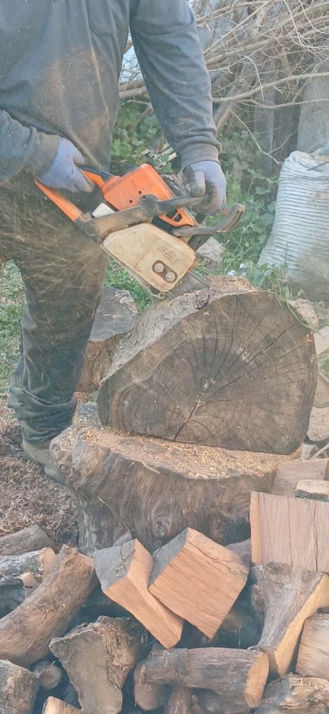 gömeç odun kesim ağaç işleri bahçe düzenlemesi bahçıvan nakliye rulo çim çapa budama5