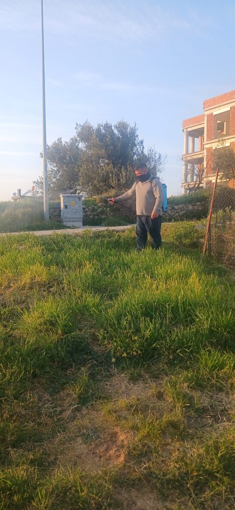 gömeç odun kesim ağaç işleri bahçe düzenlemesi bahçıvan nakliye rulo çim çapa budama6